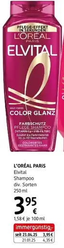 dm Elvital Shampoo Angebot