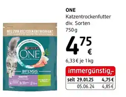 dm ONE Katzentrockenfutter Angebot