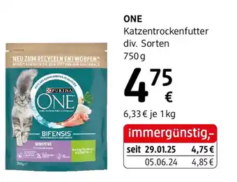dm ONE Katzentrockenfutter Angebot