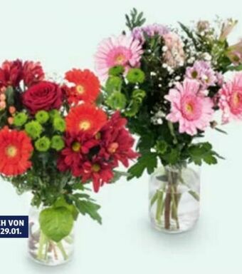 Hofer Blumenstrauß Frühlingserwachen Angebot