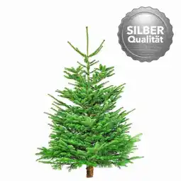 Hellweg Nordmanntanne „Silber-Qualität“, 150-190 cm 566452 HELLWEG Angebot