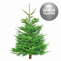 Hellweg Nordmanntanne „Silber-Qualität“, 200-230 cm 370921 HELLWEG Angebot