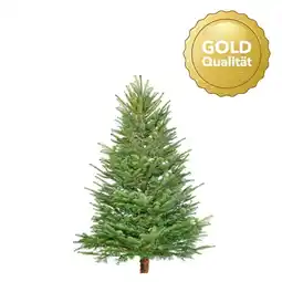 Hellweg Nordmanntanne „Gold-Qualität“, 120-150 cm 566449 HELLWEG Angebot