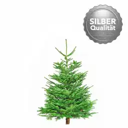 Hellweg Nordmanntanne „Silber-Qualität“, 90-120 cm 303342 HELLWEG Angebot