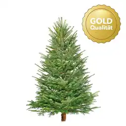 Hellweg Nordmanntanne „Gold-Qualität“, 200-250 cm 370923 HELLWEG Angebot