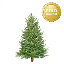 Hellweg Nordmanntanne „Gold-Qualität“, 150-200 cm 566451 HELLWEG Angebot