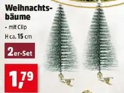Thomas Philipps Weihnachts- bäume Angebot