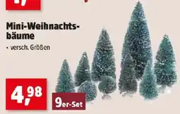Thomas Philipps Mini-Weihnachts bäume Angebot