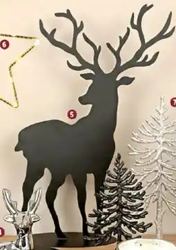 Thomas Philipps Rentier Angebot