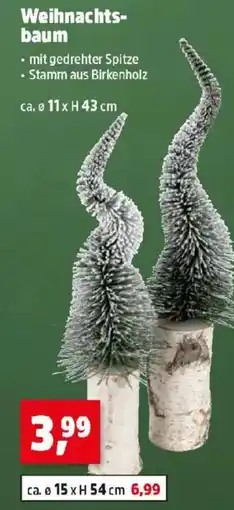 Thomas Philipps Weihnachts- baum Angebot