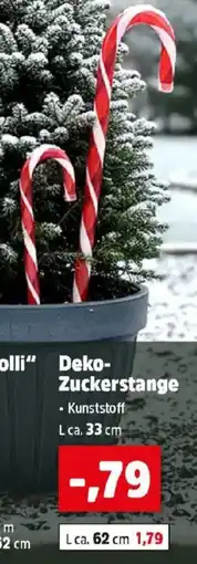 Thomas Philipps Deko Zuckerstange Angebot