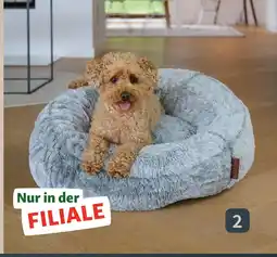 Fressnapf Liegeplatz fluffy kopenhagen Angebot