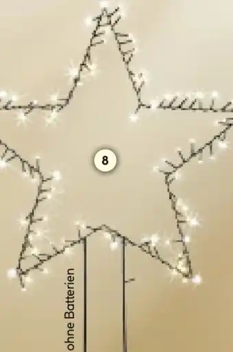 Hellweg Ambientis Gartenstecker Stern Angebot