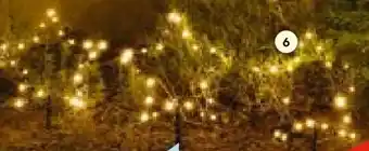 Hellweg LED-Sterne Angebot