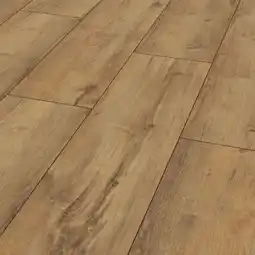 Hellweg Specht Vinylboden Laminatboden Ambiente Baldeney Eiche Angebot