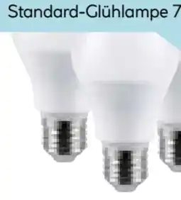 Hellweg Flector LED-Glühlampe E27 Angebot