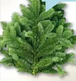 Hellweg Plantiflor Tannenzweige Nordmanntanne Handbund Angebot