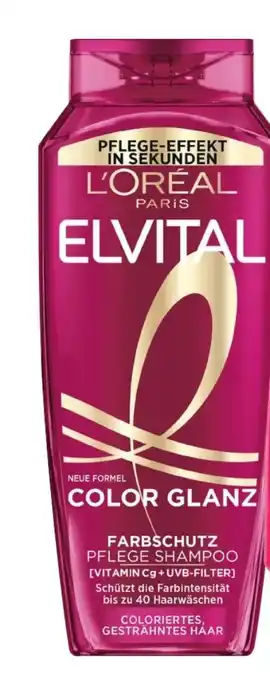dm L'Oréal Paris Elvital Shampoo Angebot