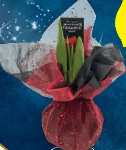 Hofer Amaryllis mit Dekotuch Angebot