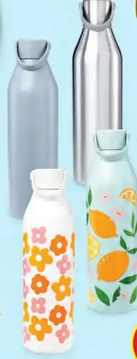 Hofer Crofton Thermosflasche Angebot