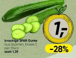 Spar knackige SPAR Gurke Angebot