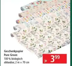 Pagro Diskont Geschenkpapier Pure Green Angebot