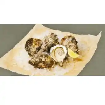 Billa Zeeland Felsen-Austern Nr. 3 BILLA Angebot