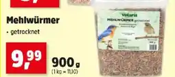 Thomas Philipps Mehlwürmer Angebot