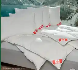Matratzen Concord Seriie Canada Angebot