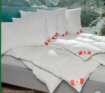Matratzen Concord Seriie Canada Angebot