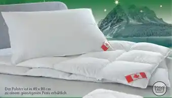 Matratzen Concord Serie Schneegans Dreikammerposter Angebot