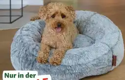 Fressnapf More Lifestylepets Hunde Liegeplatz Fluffy Kopenhagen Angebot