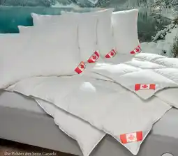 Matratzen Concord Feder und Daunenpolster Angebot