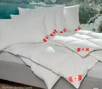 Matratzen Concord Feder und Daunenpolster Angebot