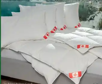 Matratzen Concord Dauneneinziehdecke Angebot