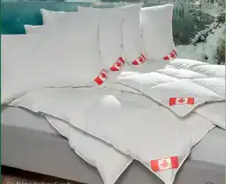 Matratzen Concord Daunendecke warm Angebot