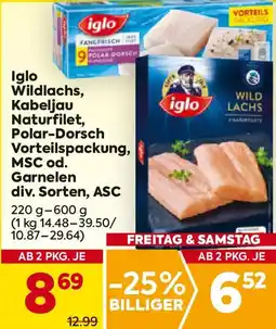 Billa Iglo wildlachs, kabeljau naturfilet, polar-dorsch vorteilspackung, msc od. garnelen Angebot