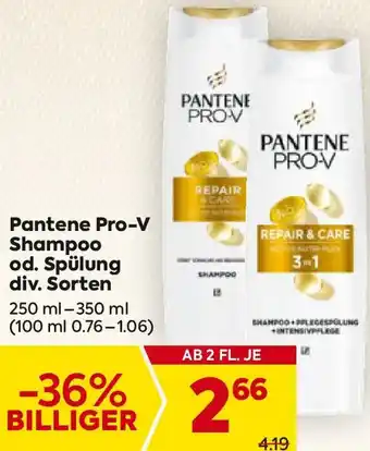 Billa Pantene Pro-V Shampoo od. Spülung Angebot