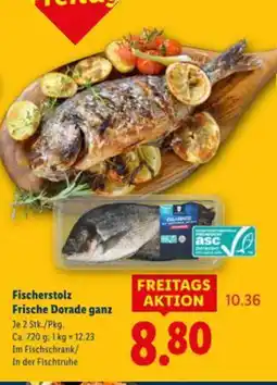 Lidl Fischerstolz Frische Dorade ganz Angebot