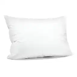 Reiter 3 Kammernpolster „Sandro“ S6010001 Betten Reiter Angebot