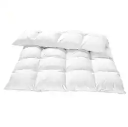 Reiter Daunendecke „Sarah“ A6050601 Betten Reiter Angebot