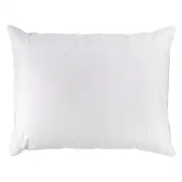 Reiter 3-Kammernpolster Wildente O6001801 Betten Reiter Angebot