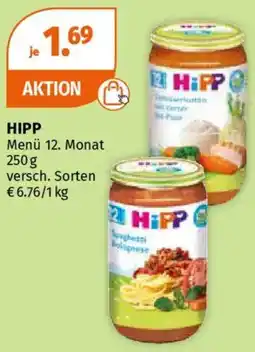 Müller Hipp Angebot