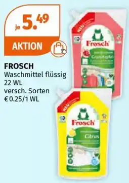 Müller Frosch Angebot