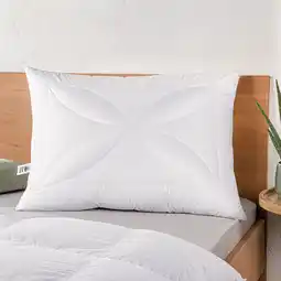 Reiter Polster Aloe Vera F2615501 1 Stück Rabatt exklusiv für Vorteilskund*innen Betten Reiter Angebot