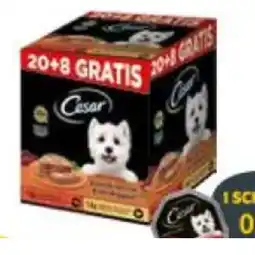 Das Futterhaus Pluspack Nassnahrung für Hunde DAS FUTTERHAUS Angebot