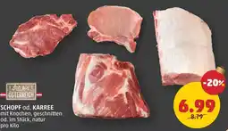 PENNY Schopf od. karree Angebot