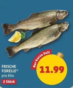 PENNY Frische forelle Angebot