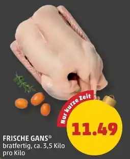 PENNY Frische gans Angebot
