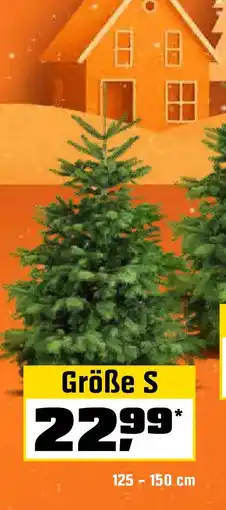OBI Weihnachtsbaum Echte Nordmanntanne hoch gesägt Angebot
